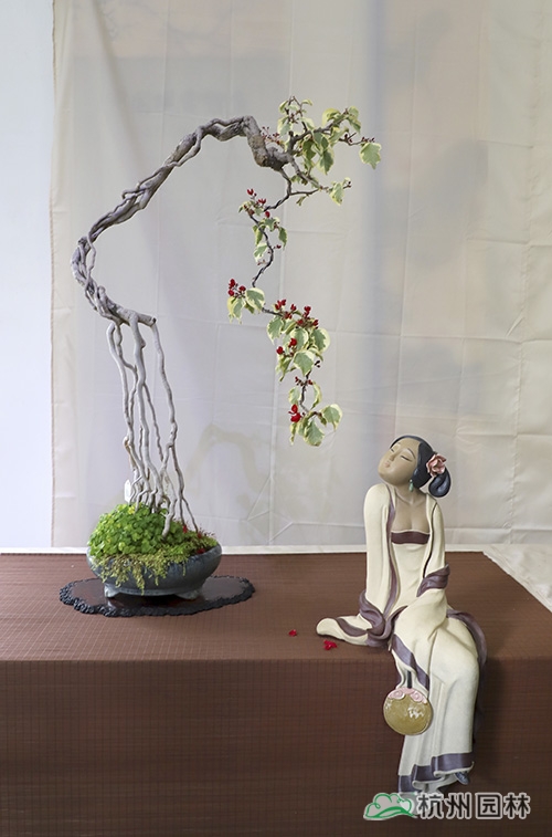 彩运网(中国游)官方网站