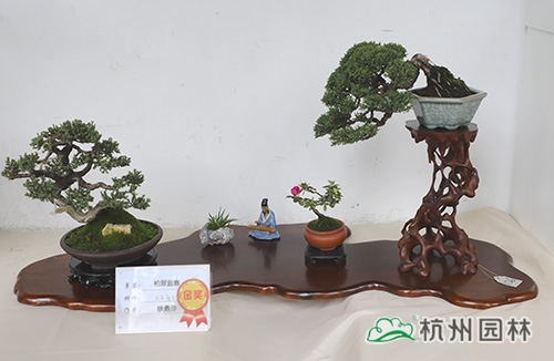 彩运网(中国游)官方网站