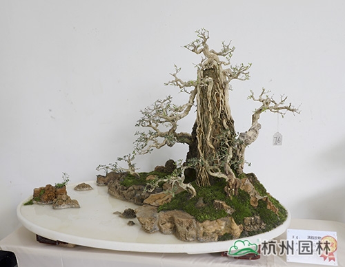 彩运网(中国游)官方网站