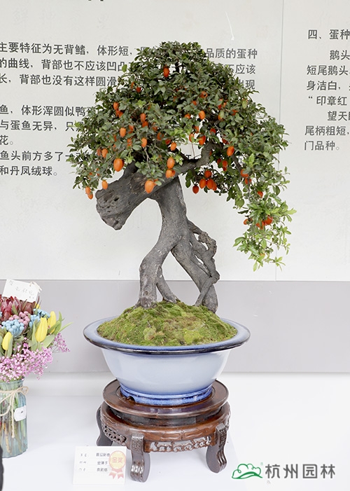 彩运网(中国游)官方网站