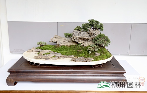 彩运网(中国游)官方网站