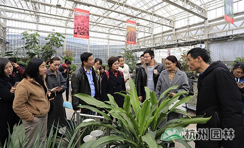 彩运网(中国游)官方网站