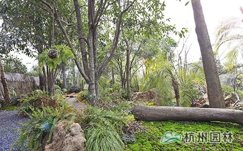 彩运网(中国游)官方网站