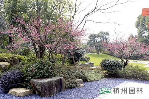 彩运网(中国游)官方网站