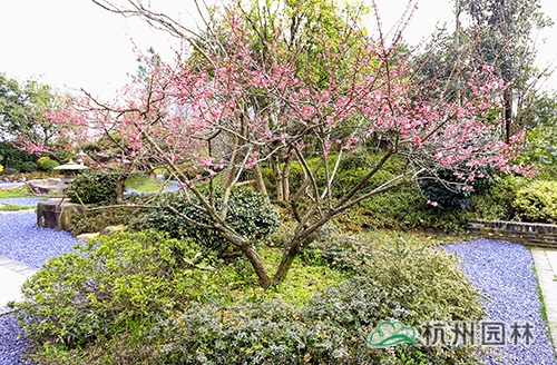 彩运网(中国游)官方网站