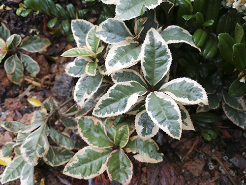 彩运网(中国游)官方网站