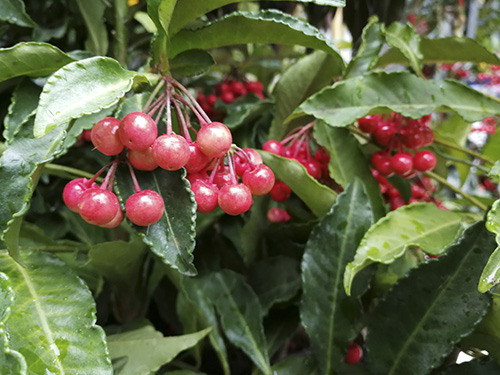 彩运网(中国游)官方网站