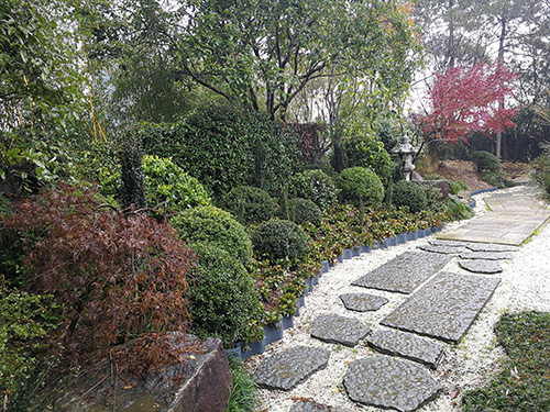 彩运网(中国游)官方网站