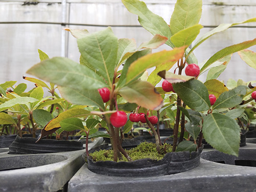 彩运网(中国游)官方网站