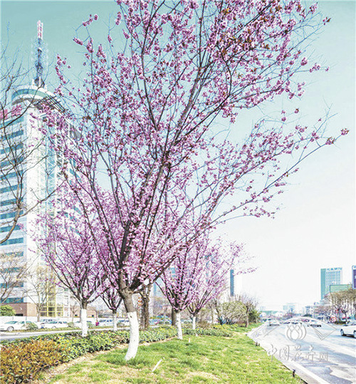 彩运网(中国游)官方网站