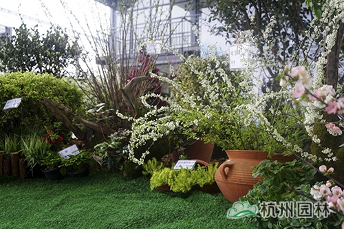 彩运网(中国游)官方网站