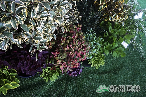 彩运网(中国游)官方网站