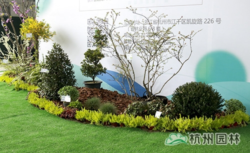 彩运网(中国游)官方网站