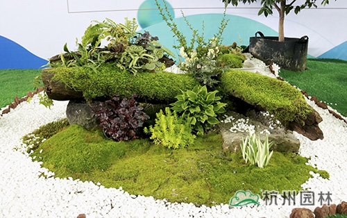 彩运网(中国游)官方网站