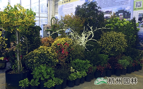 彩运网(中国游)官方网站