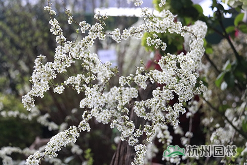 彩运网(中国游)官方网站