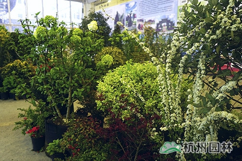 彩运网(中国游)官方网站