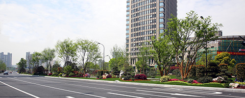 彩运网(中国游)官方网站