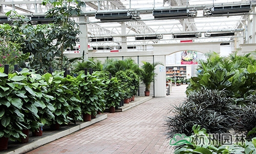 彩运网(中国游)官方网站