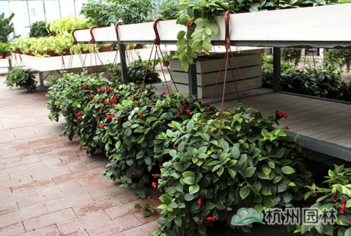 彩运网(中国游)官方网站