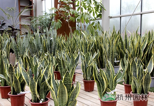 彩运网(中国游)官方网站