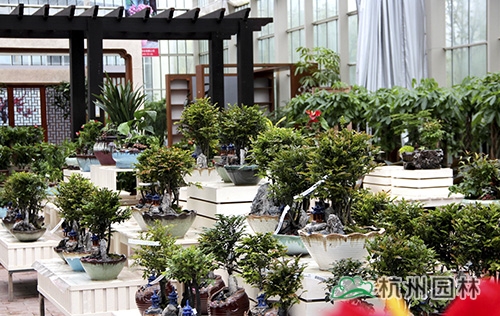 彩运网(中国游)官方网站