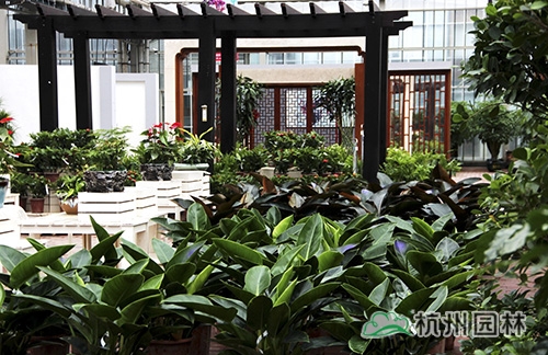 彩运网(中国游)官方网站