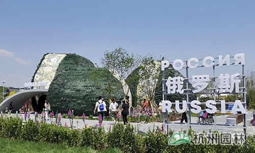 彩运网(中国游)官方网站