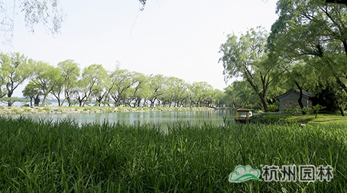 彩运网(中国游)官方网站