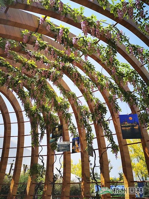 彩运网(中国游)官方网站