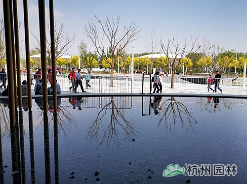 彩运网(中国游)官方网站