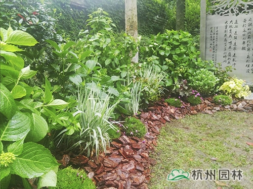 彩运网(中国游)官方网站