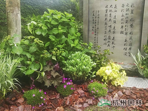 彩运网(中国游)官方网站